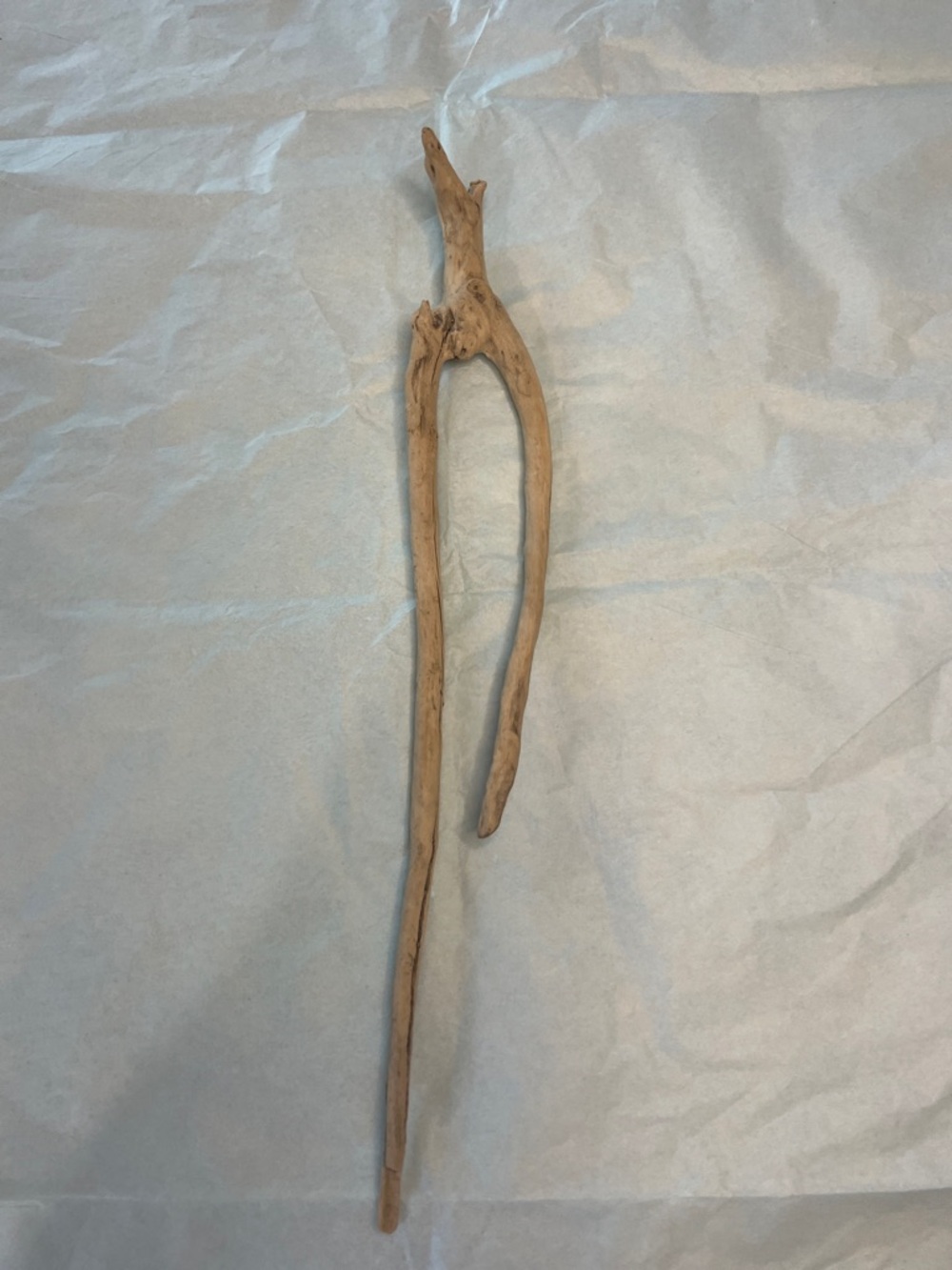 Natural Driftwood uniquely shaped from Potomac River